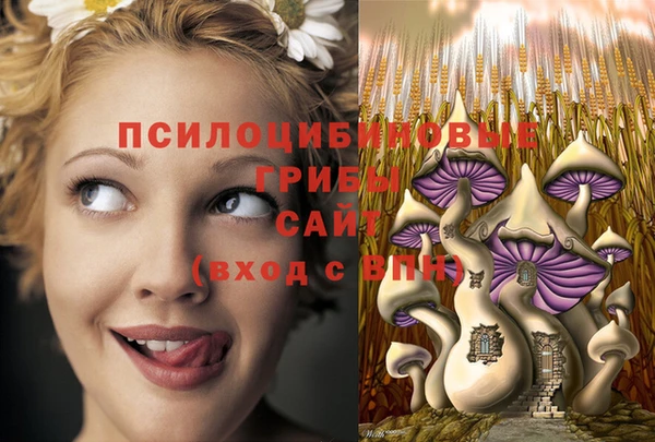 ECSTASY Осинники