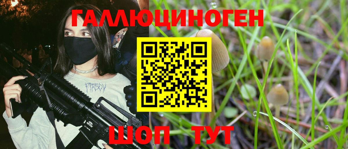 Псилоцибиновые грибы Psilocybine cubensis  Галлюциногенные грибы MAGIC MUSHROOMS  Вход с VPN  Урюпинск 